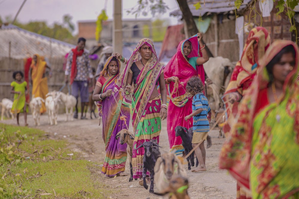 A group of women taking to their goats to the nearest animal health camp.