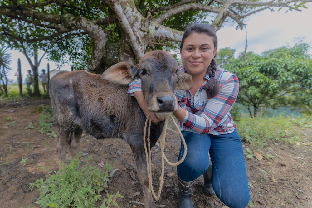 A young woman sitting beside a calf in a village. 