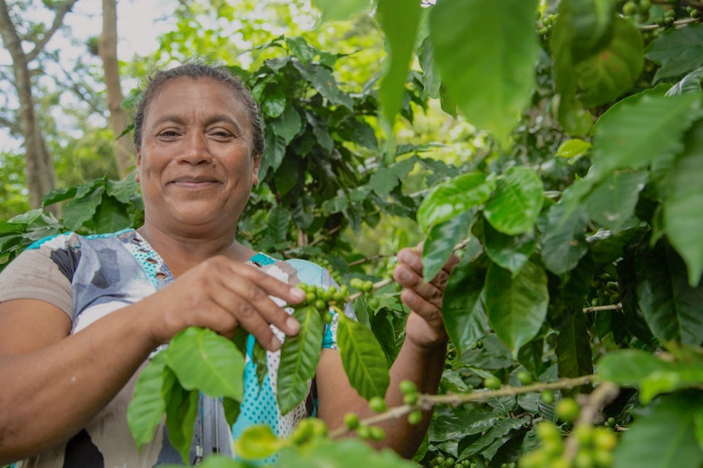 A woman holds a branch of her coffee tree up and smiles for the camera.