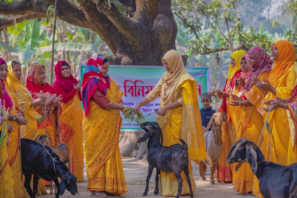A group of women smiling and passing goats to each other as gifts.