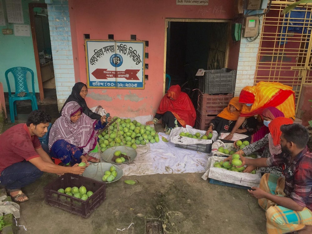Women sit in a circle sorting mangoes into blue boxes.