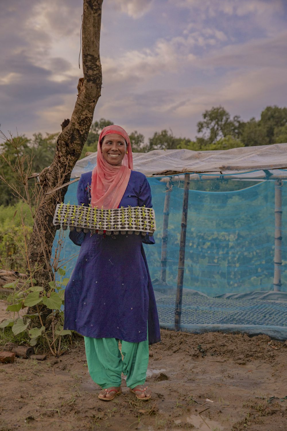 A middle aged woman holding a tray with several young saplings. 