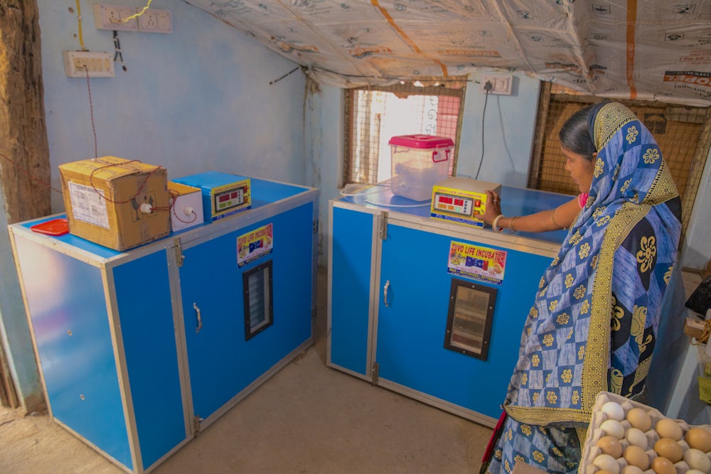 A woman operating a small-scale egg-hatching machine powered by solar energy.