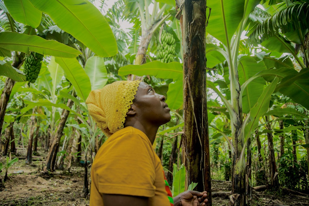A women in Rwanda looks up at her coffee plants.