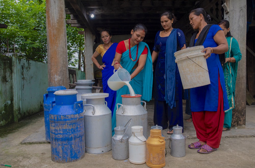 A group of women measure out milk into a jug.