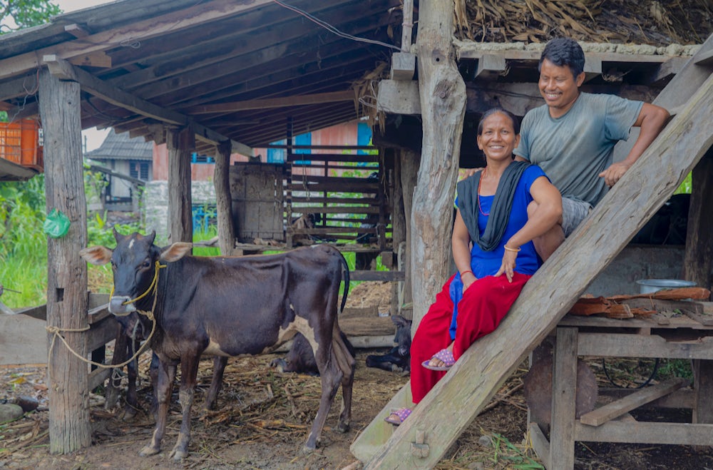 A couple sit on a set of stairs by a shed that houses a young buffalo.