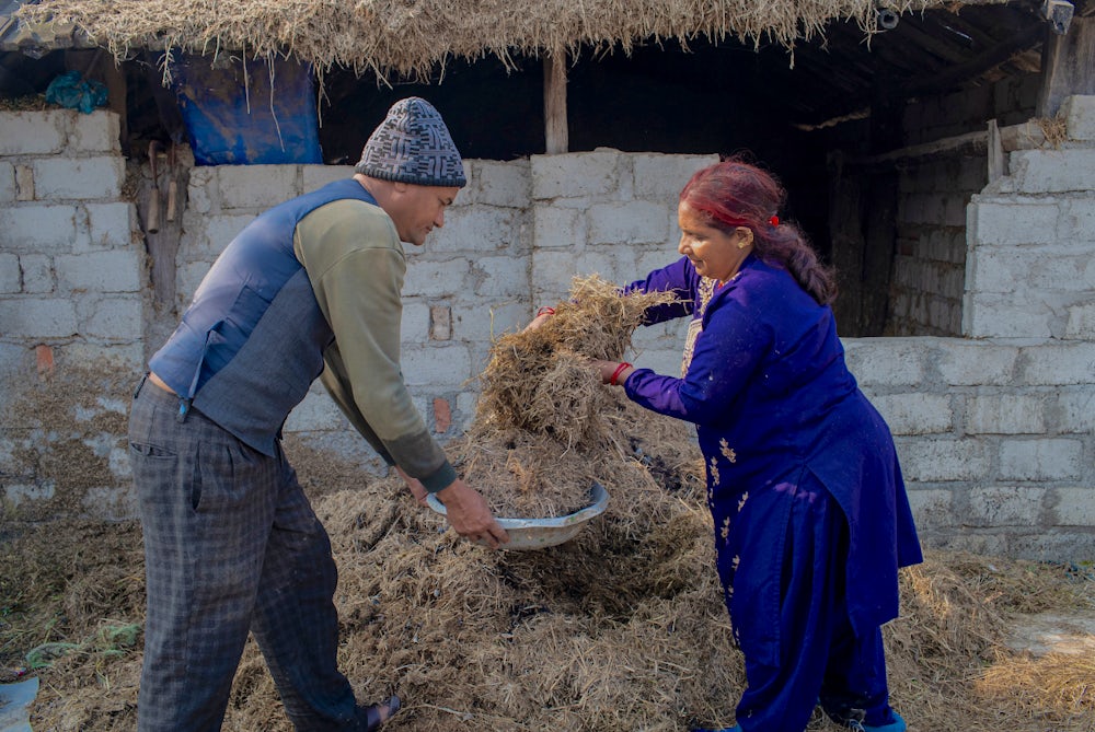 Kamala and her husband collect animal manure.