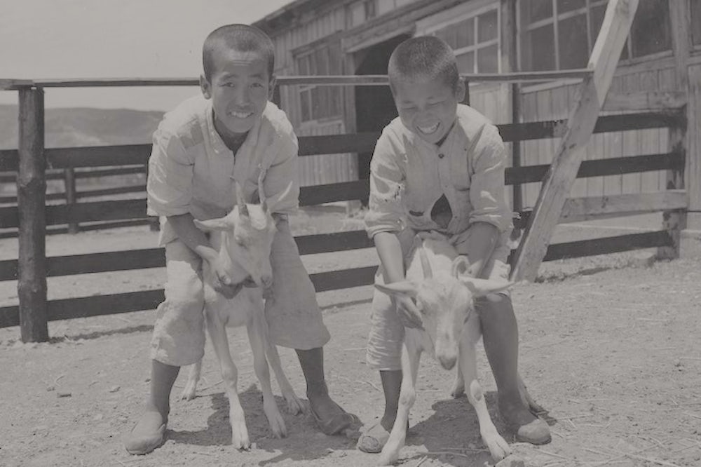 A historic image of two boys holding a pair of goats in Korea.