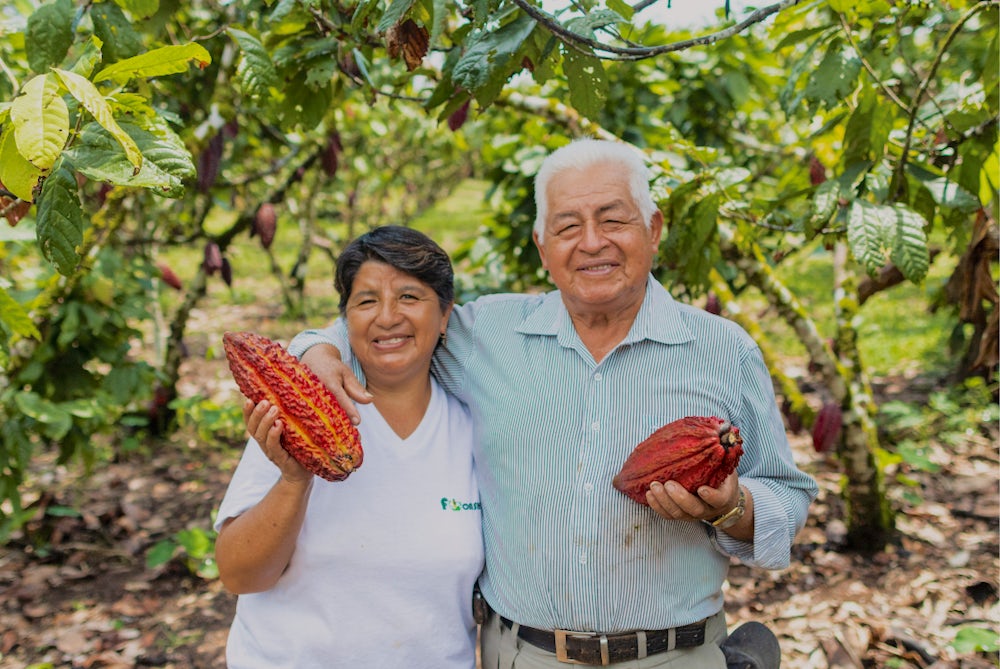 Cocoa is an important part of Ecuador's biodiversity in the Amazon