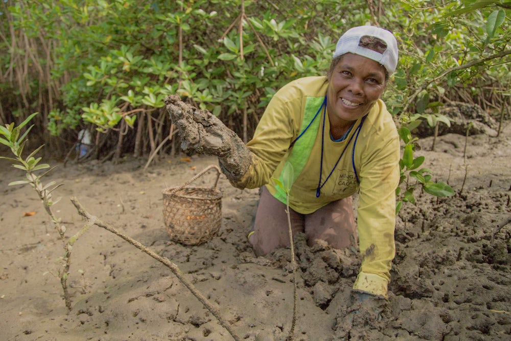 Yolanda Olmeda digs for shellfish in a mangrove forest.