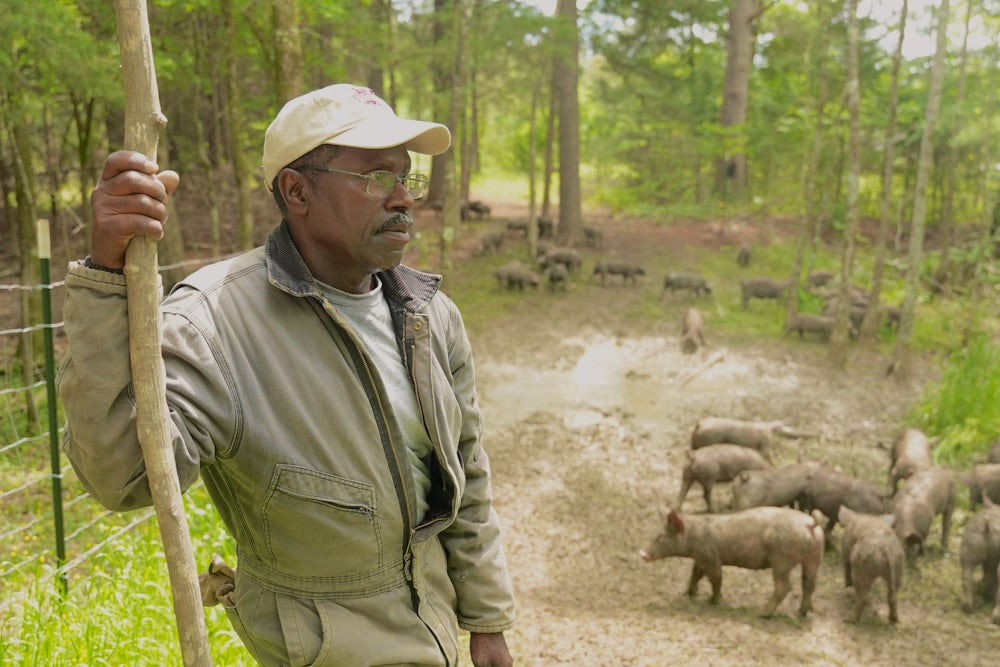 一个男人站在他的农场上，背景是猪。