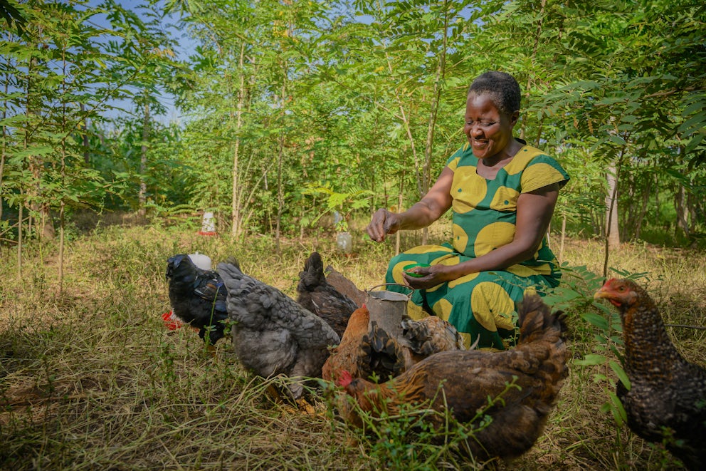 A woman smiling and feeding poultry birds in a field in her village.
