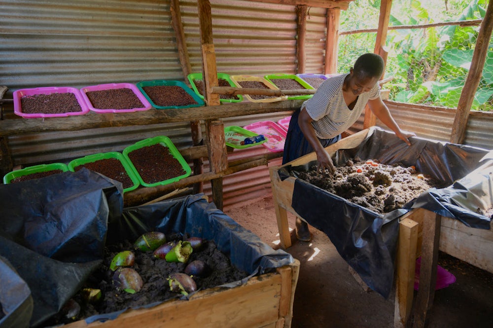 A woman feeding vegetable waste to worms placed inside large trays filled with soil.