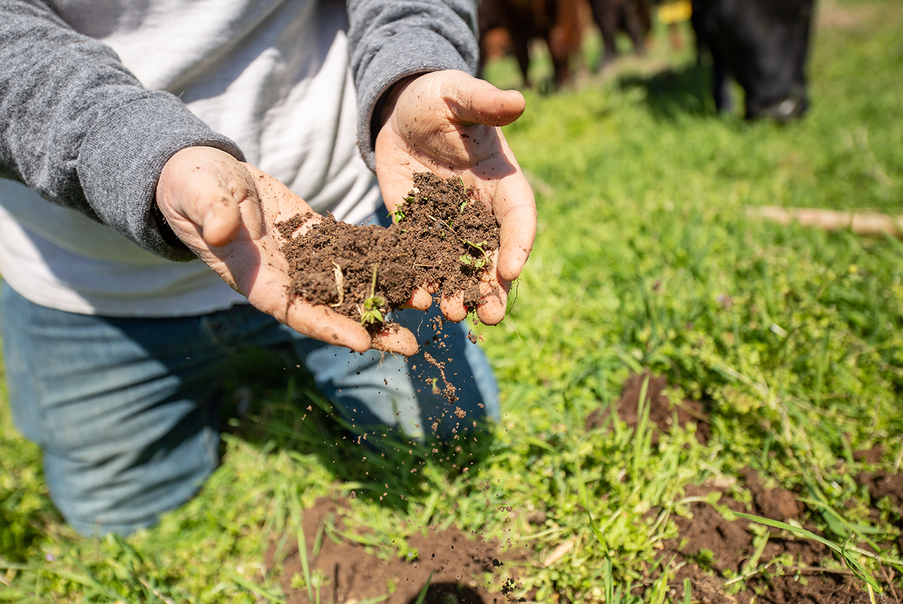 Highlands :: Soil Health