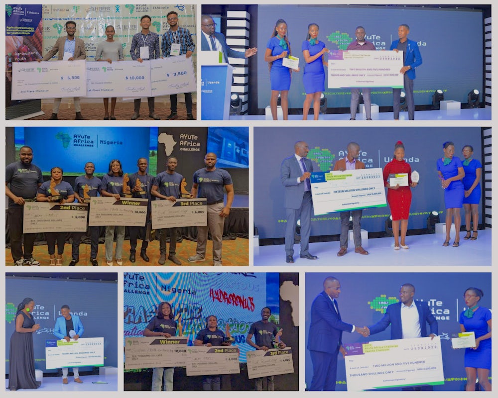 A collage of pictures showing entrepreneurs accepting prizes at an award ceremony.
