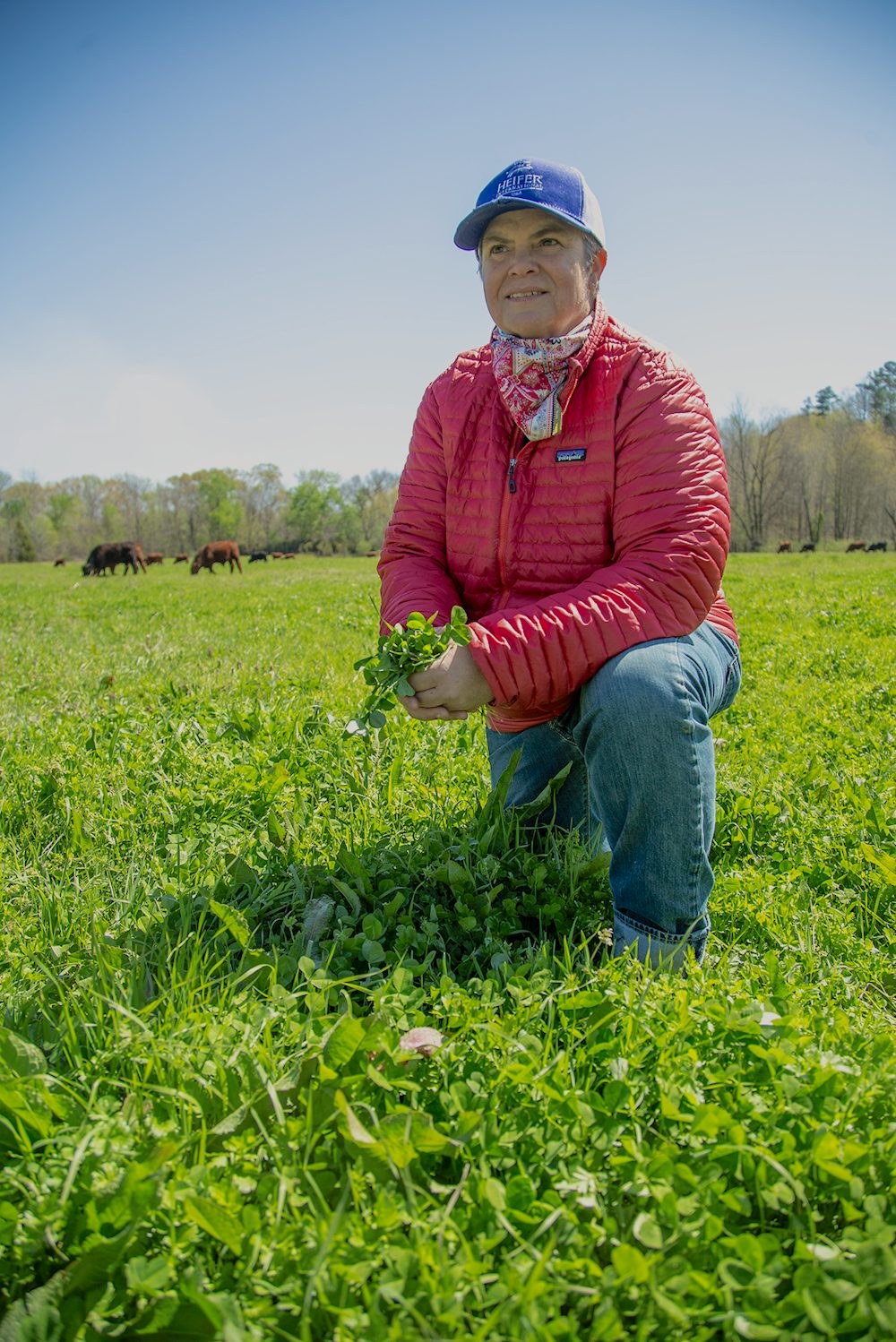 A rancher kneels in a field, holding crops in her hands.