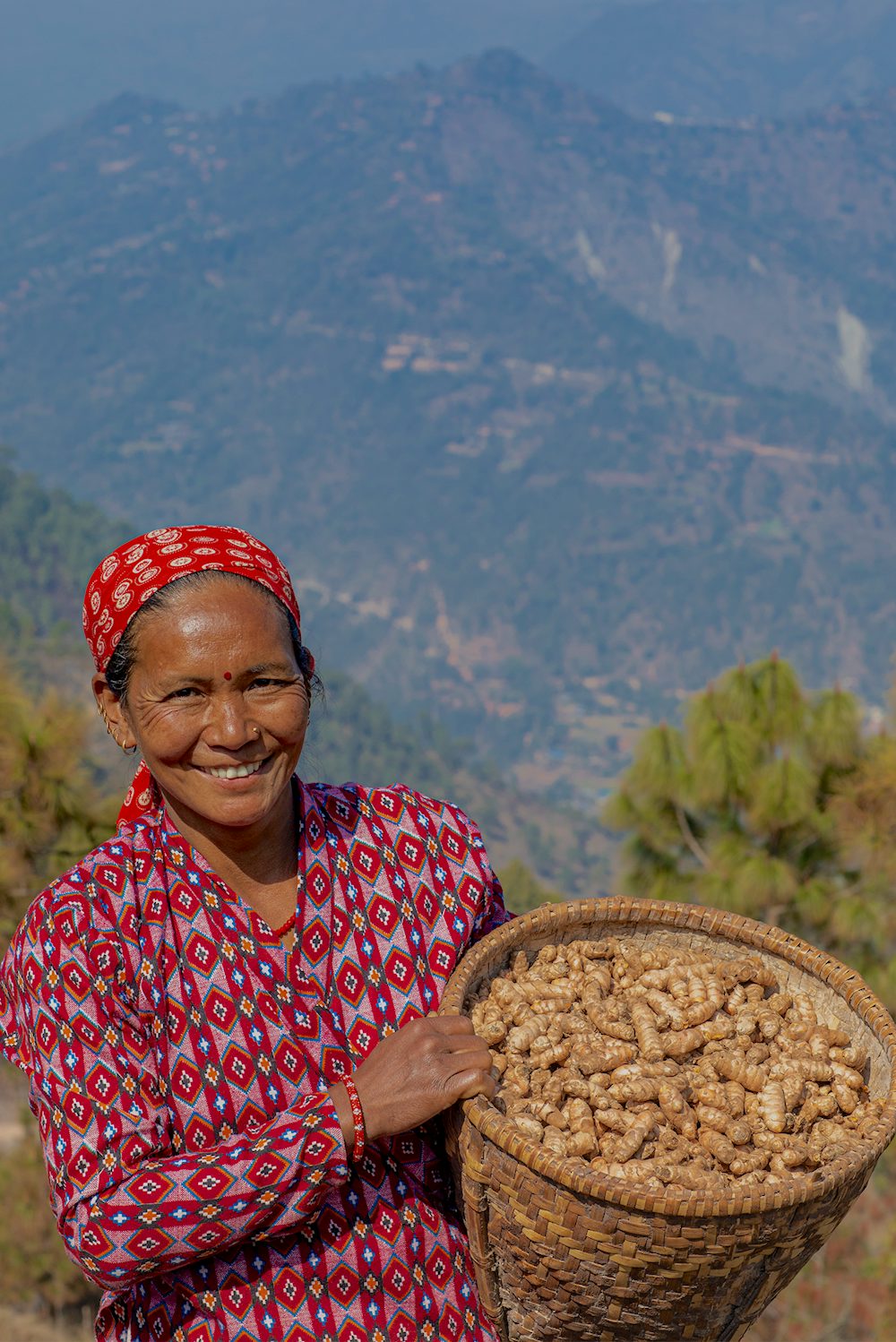 尼泊尔，一名妇女提着一篮子姜。