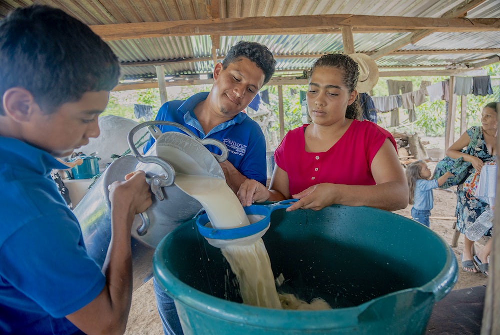 Three people pour milk into a vet through a sieve.