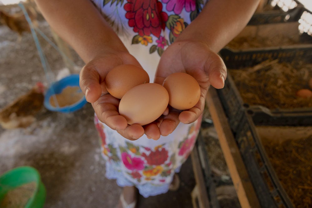A close-up of a woman's hands holding eggs.