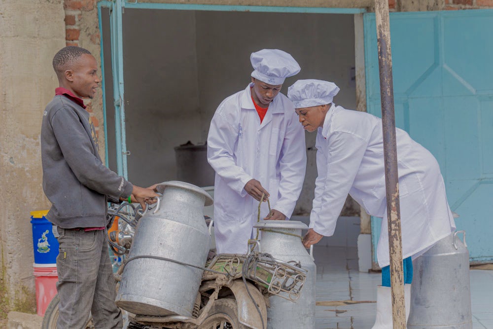 Two men in white coats inspect milk cans delivered by a farmer on a motorbike.