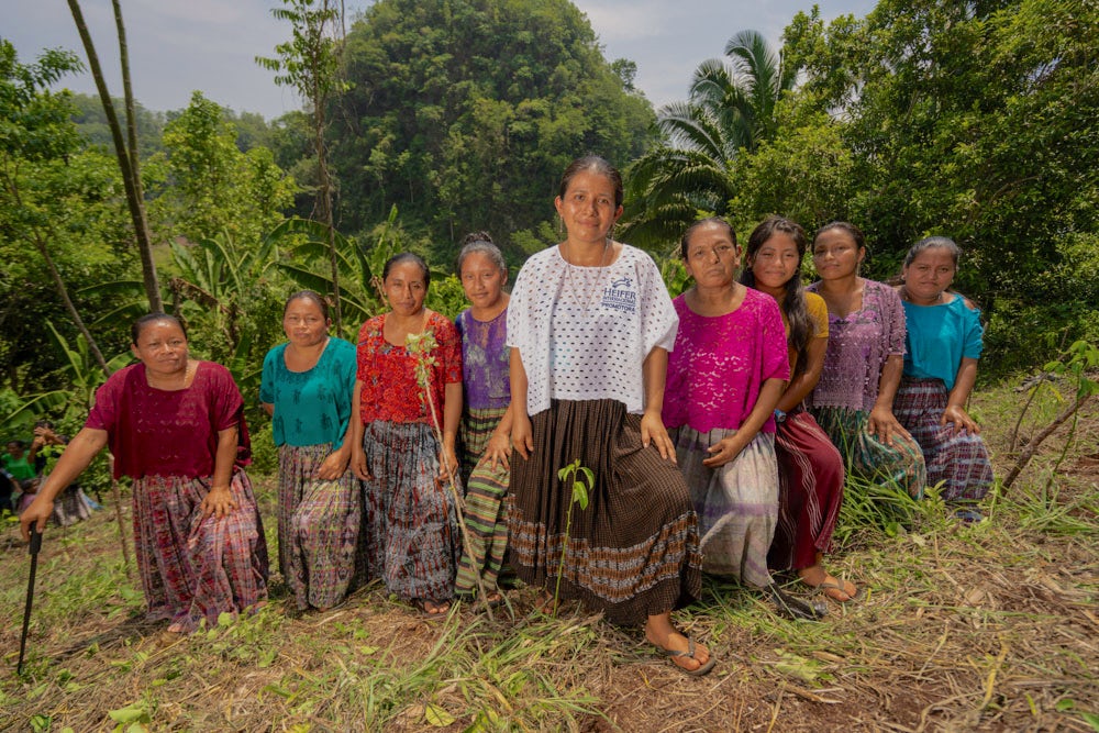 A group of women stand against a backdrop of greenery.