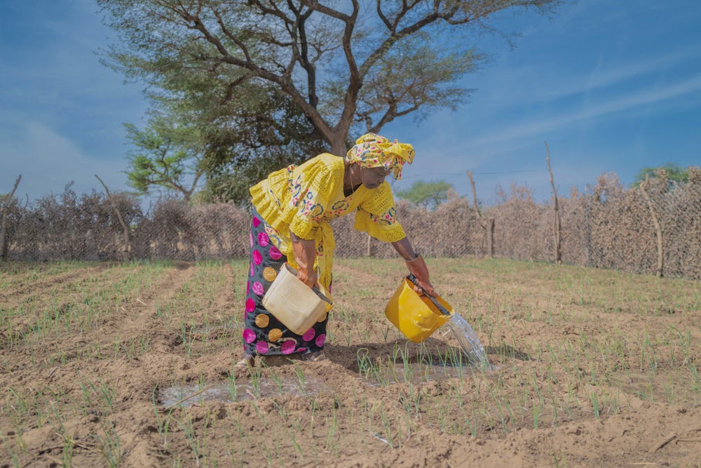 A woman in a colorful print garment waters a small onion farm under the harsh sun.