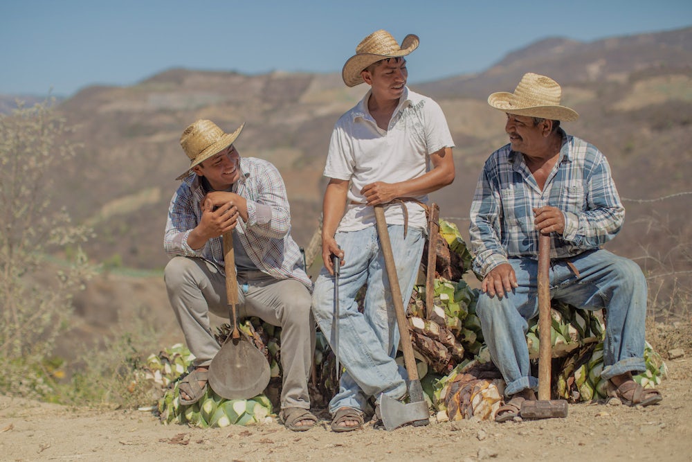 Three farmers in Mexico sit atop their agave harvest, smiling at one another and holding their tools.