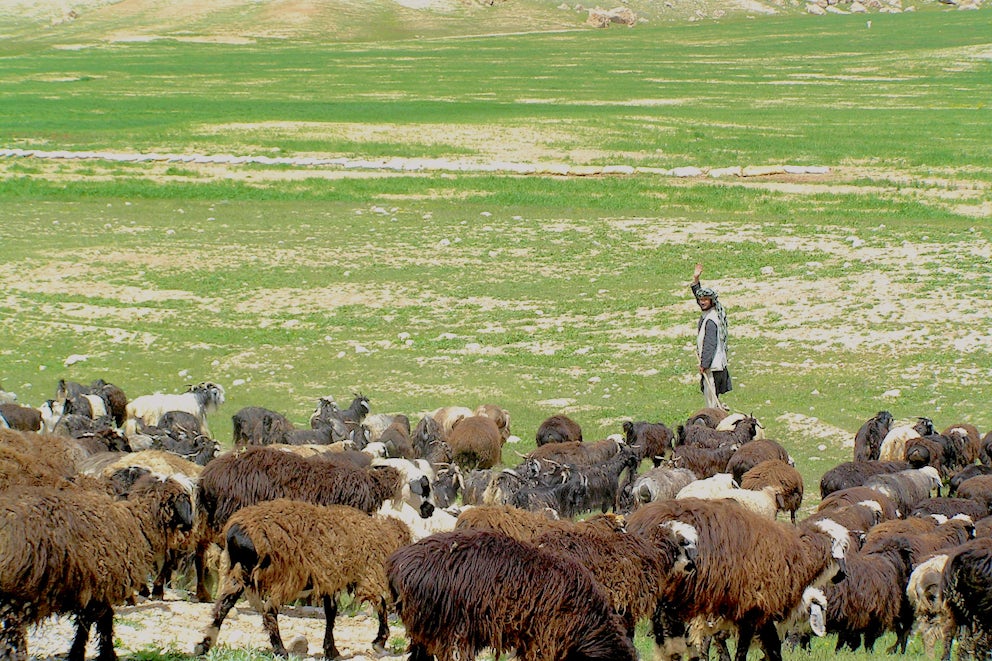 Healthy Animals, Healthy Nations: An Interview with Veterinarian David Sherman.