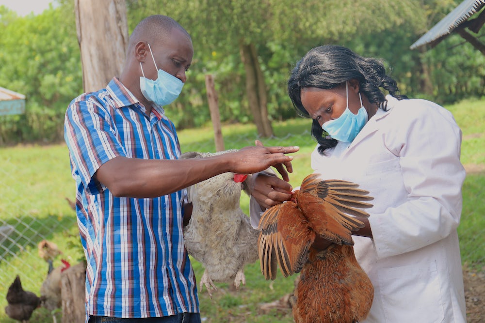 A man and woman inspect the two chickens they holding their hands.