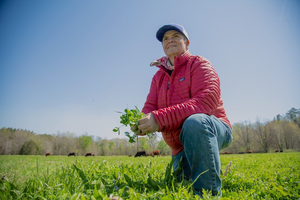 A woman farmer kneels in her cow pasture, holding some cover crops in her hand.