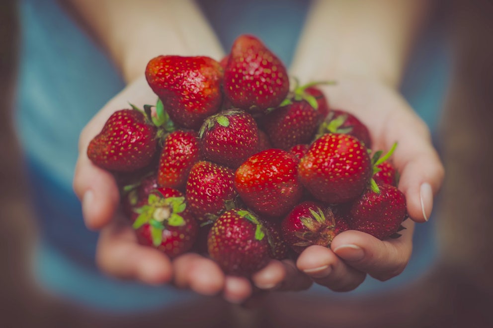 4 Delicious Recipes That Use Fresh Produce.