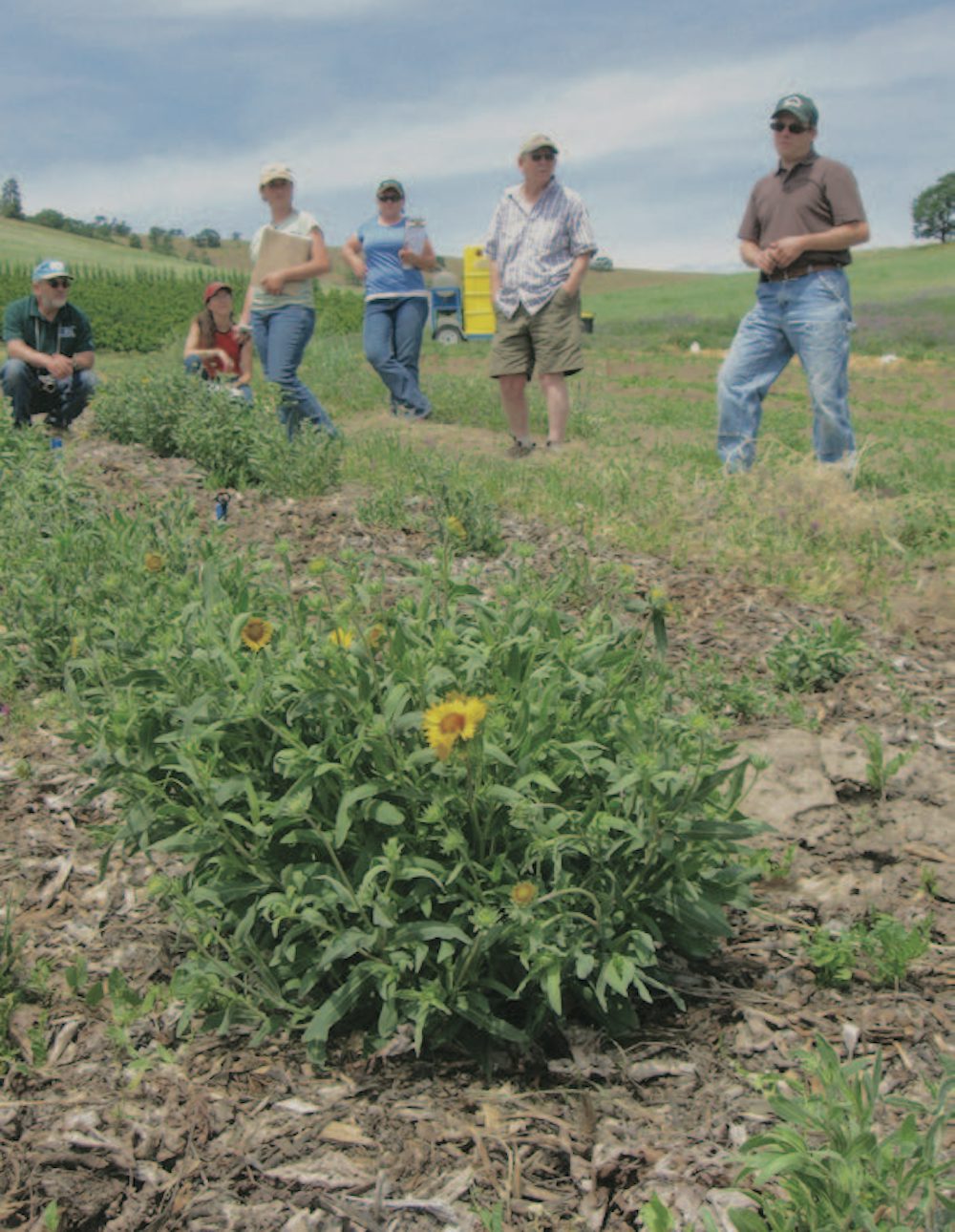 A group of people standing in a garden listening to a lecture.