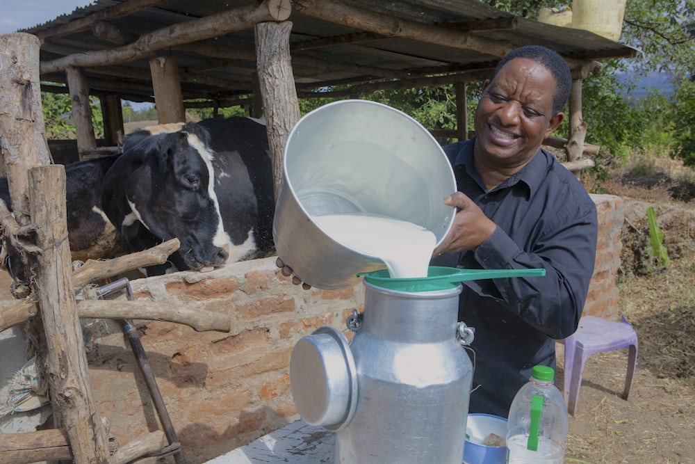 A smiling Kenyan dairy farmer pours milk into a container.