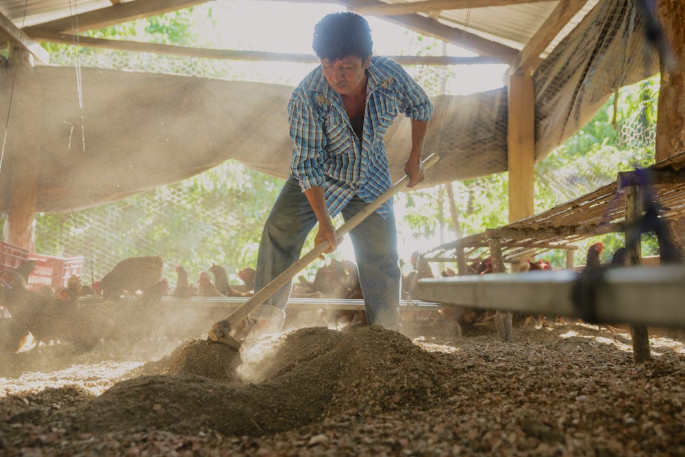 A man uses a tool to mix the bedding in his family's chicken coop.