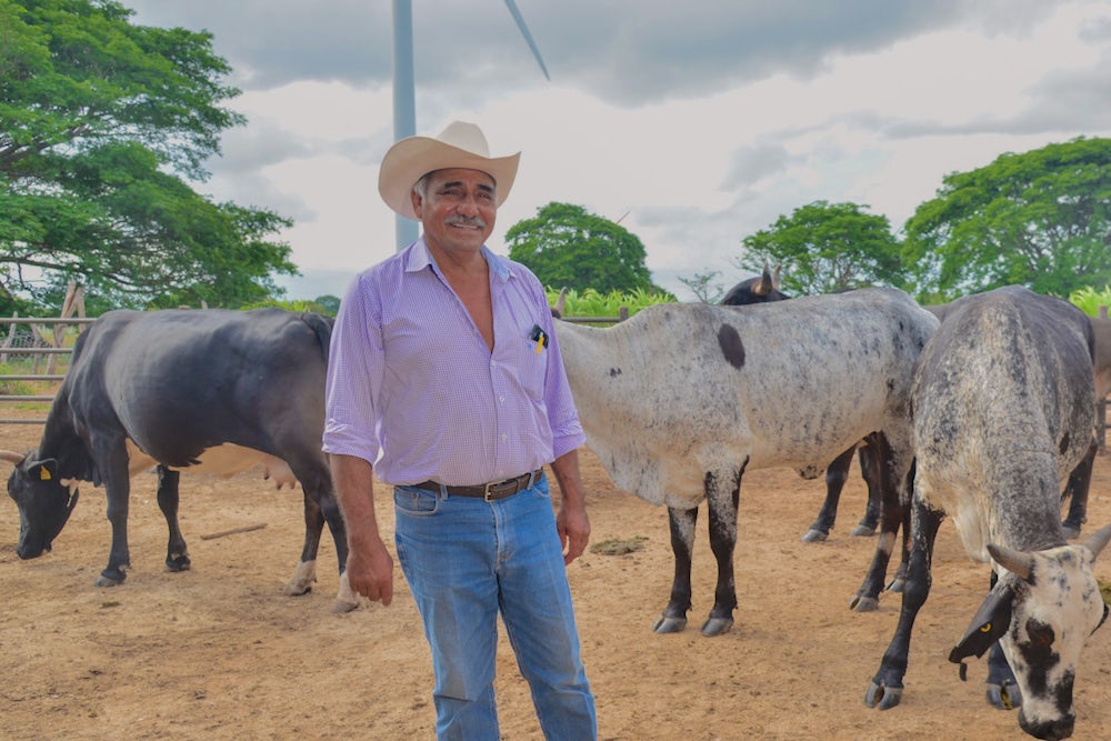 A cattle farmer stands with his cows. 