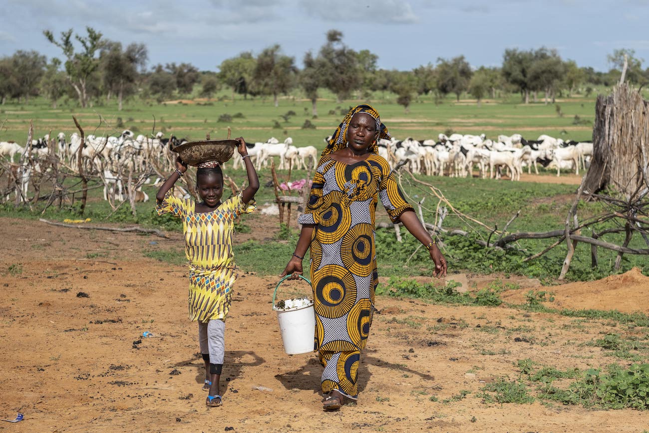 Wildlife Farming in Uganda: An alternative wildlife income stream for  communities