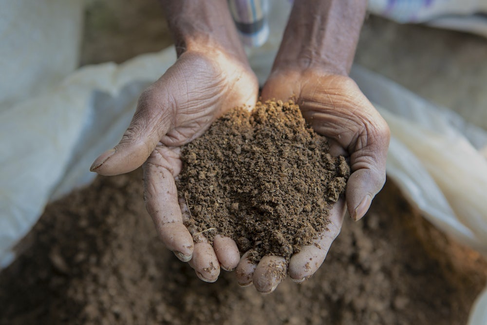 A close up shot of a woman's hands holding vermicompost.