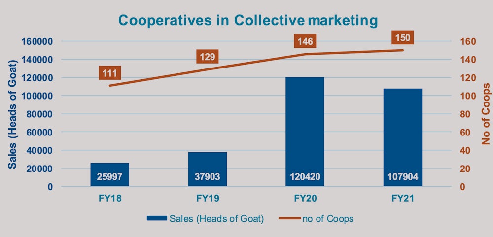 A graph tracking goat sales from 2019 to 2020.