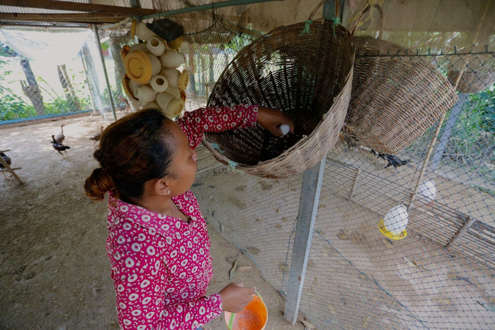 A woman collects eggs from a basket at her home.