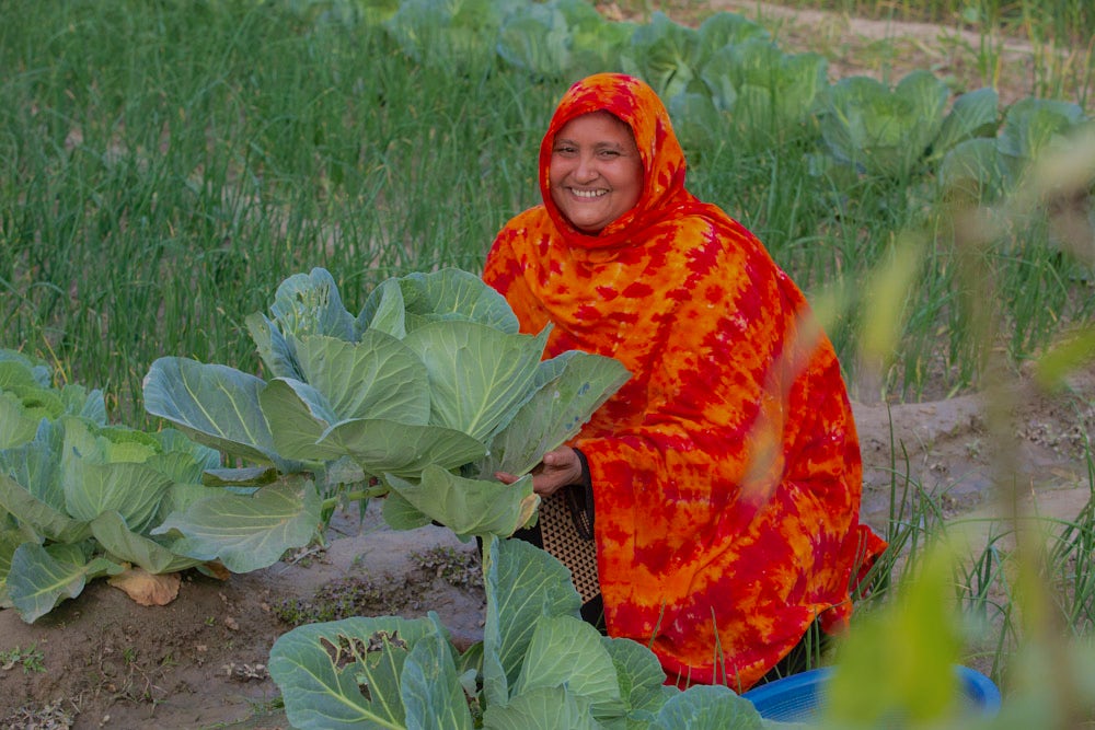 A woman wearing a bright orange headscarf kneels next to a large head of cabbage in a field.