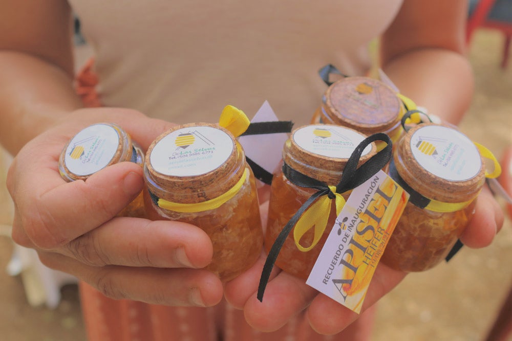 Hands hold five small jars of golden honey.