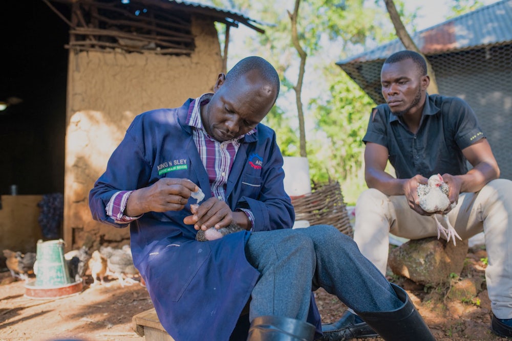 Two Kenyan men sit next to each other. One on the right administers an eyedrops to a chicken.