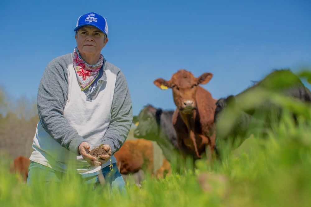 A woman kneels in a grassy field, holding soil in her hand, as a herd of cows stands behind her.