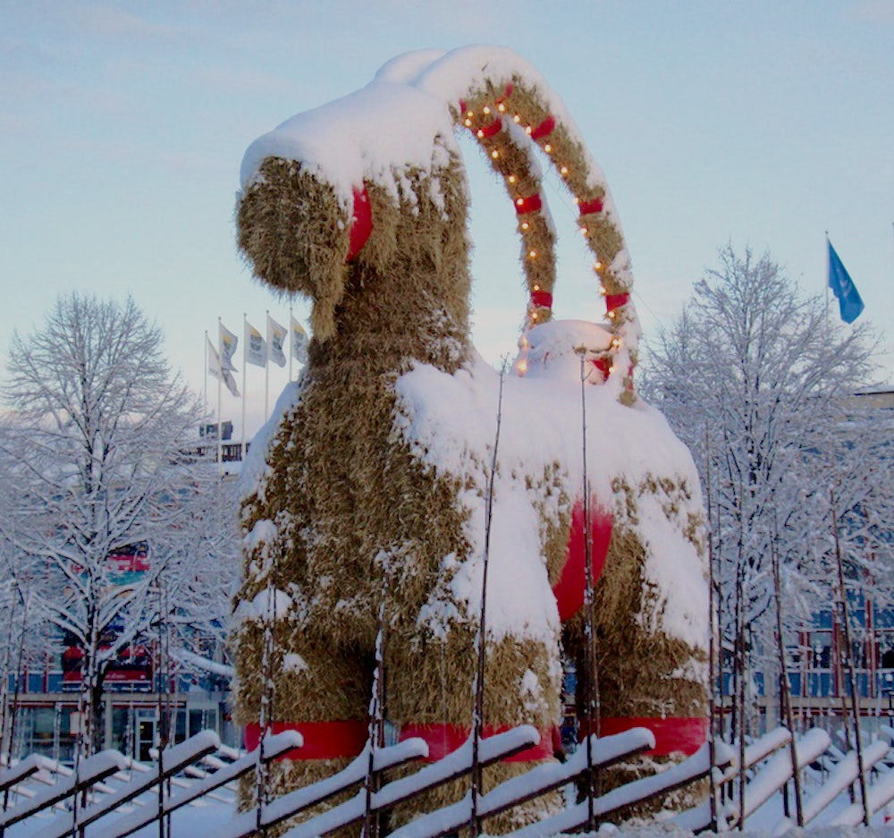 A giant, Yule goat made of straw, covered in snow. 