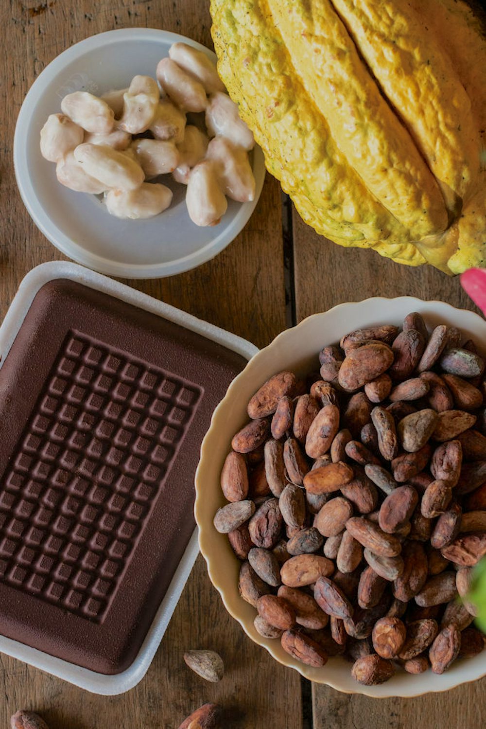A yellow cacao pod, cacao beans covered in white fruit, roasted cacao beans and a finished chocolate bar gathered on a wood table.
