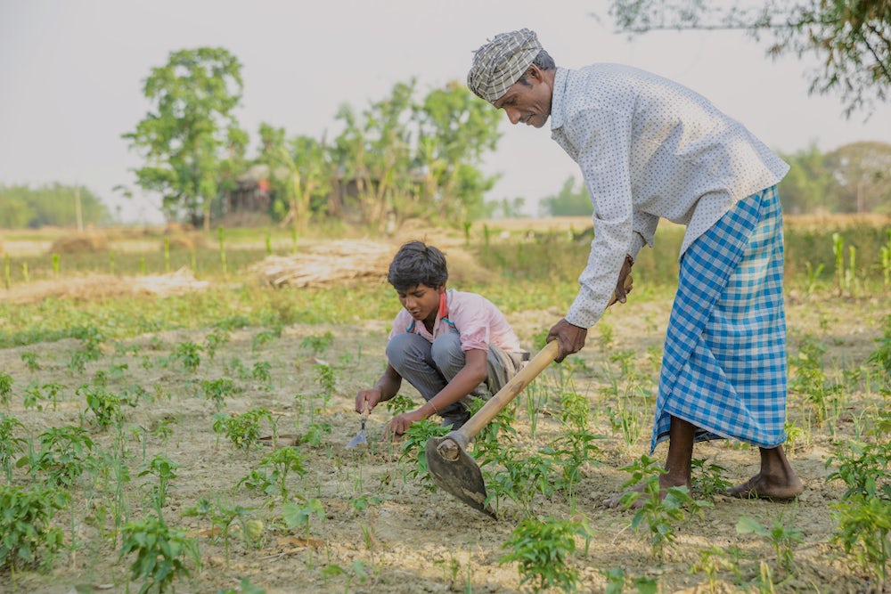 A man hoes a field while his son crouches on the ground, ready to plant seeds in the freshly-dug earth.