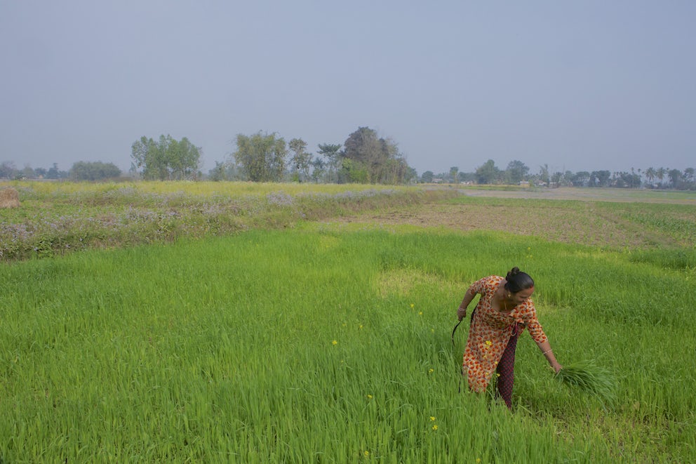 According to a recent report from the FAO, the coronavirus pandemic could result in millions of additional people suffering from hunger. See a few examples of how Heifer International is helping farmers around the world continue their essential work of providing food to their communities.