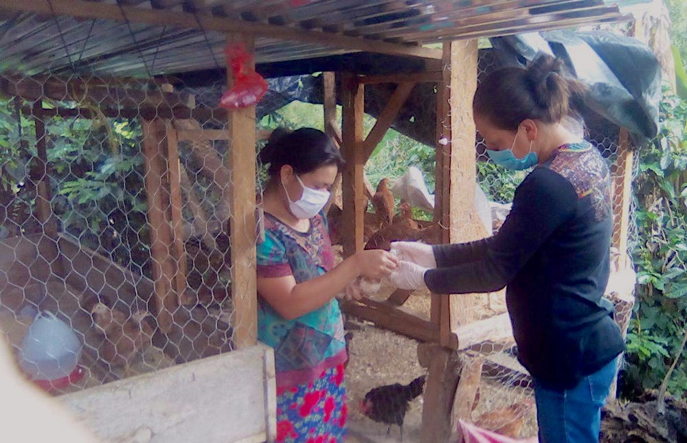 Two women stand outside of a chicken coop. One holds a small chicken while the other examines it. 