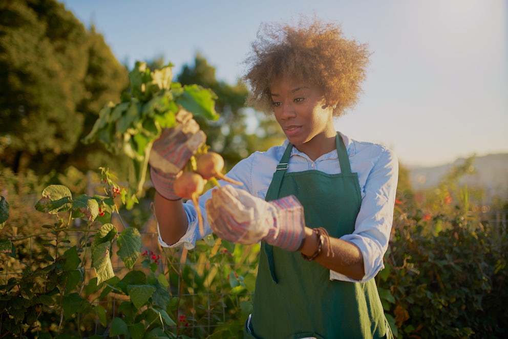A Black woman farmer, wearing a green apron, inspects her freshly-harvested vegetables.