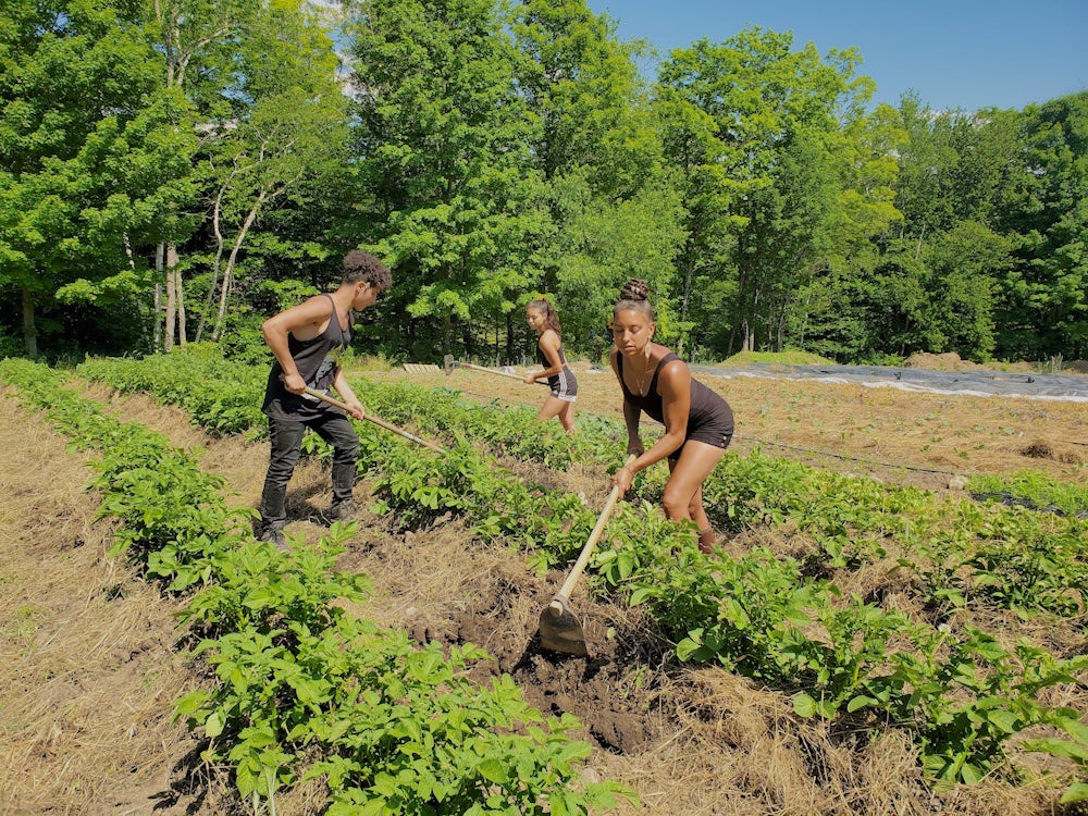 A woman and her two teenage children use tools to tend to their vegetable patch.